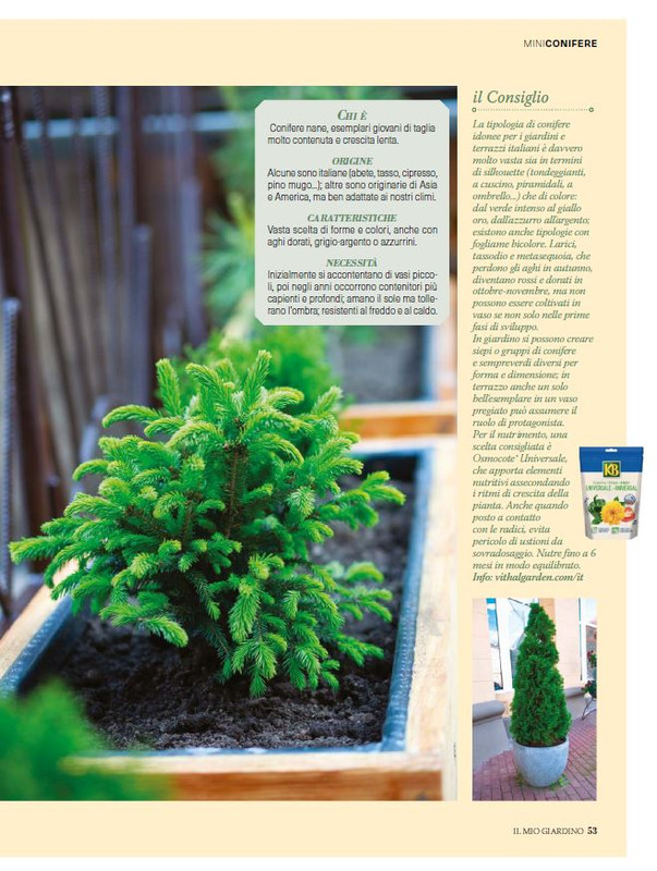 Il Mio Giar Dic 2024-Gen 2025 (10)