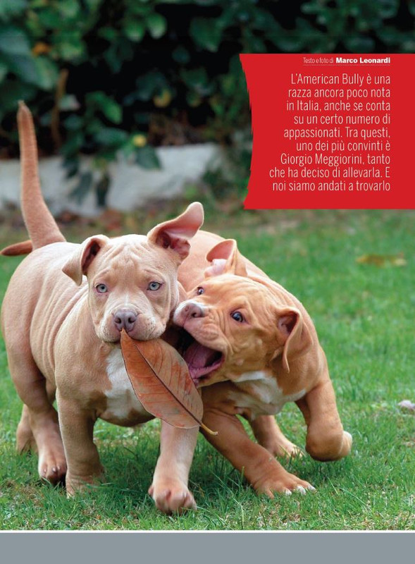 Il M C Mar 2023 (12)