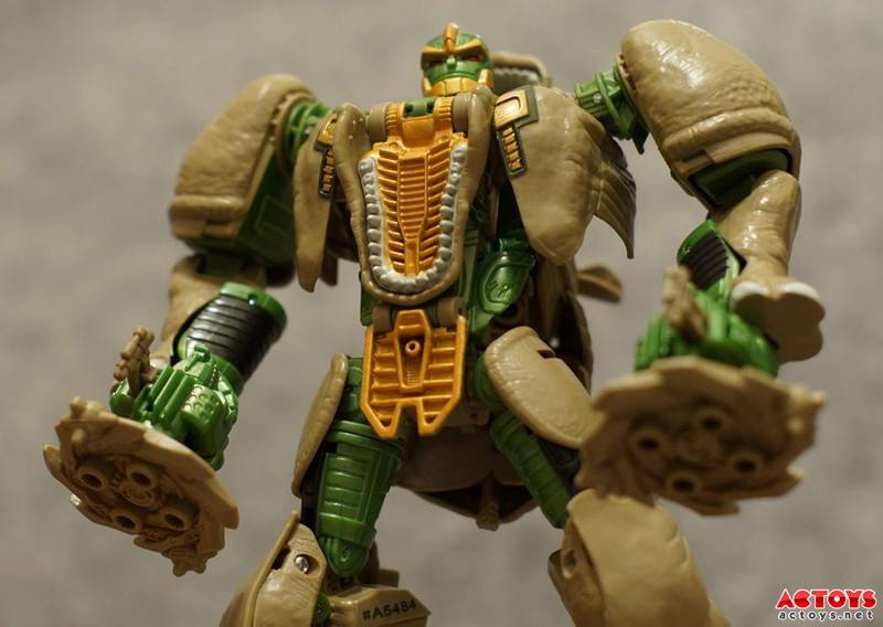 999776_10202603899005649_2068645722_n