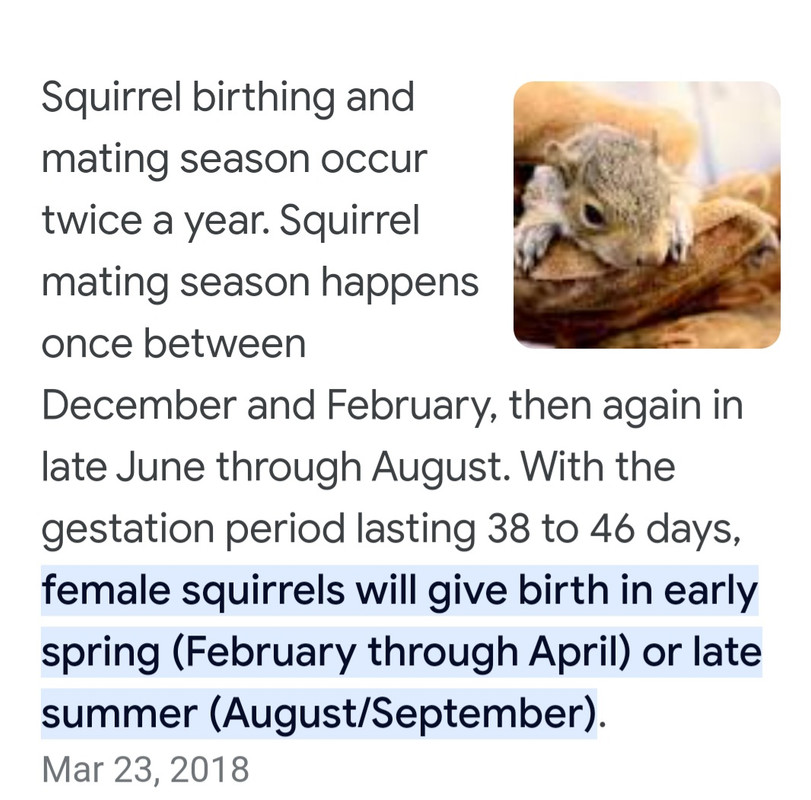 Screenshot_20230516_205633_Chrome