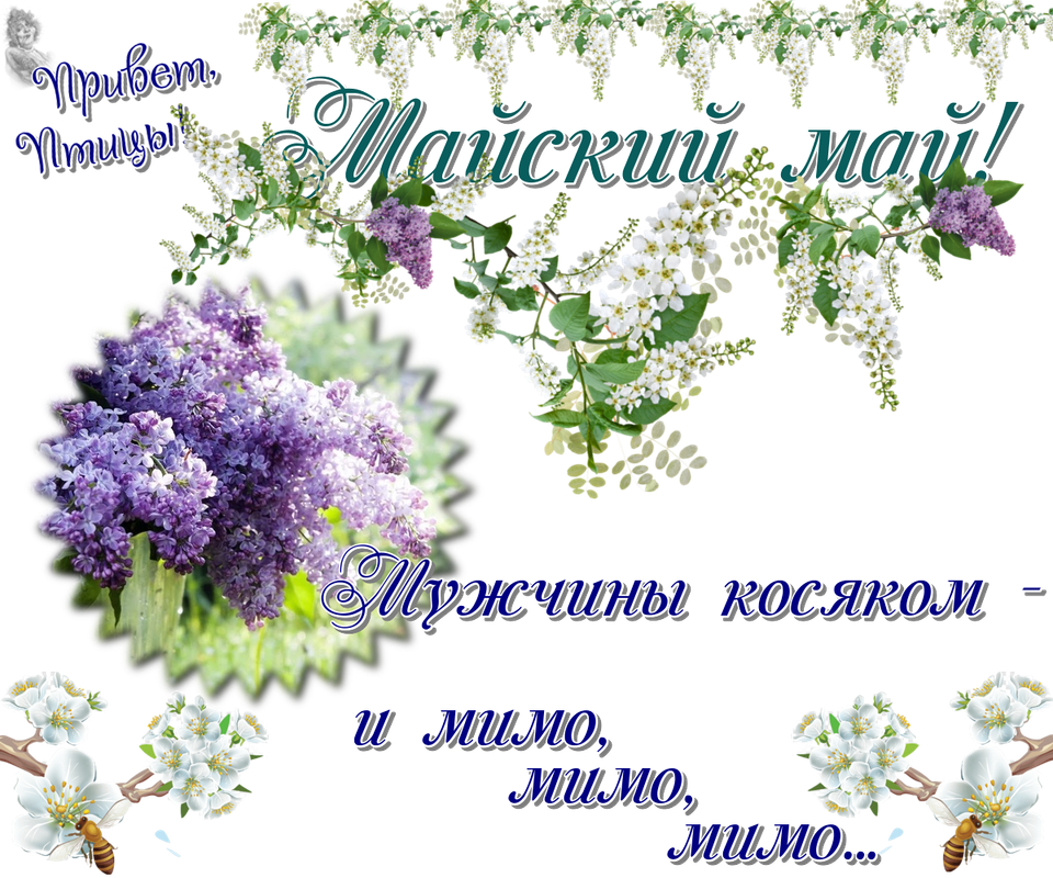 https://i.postimg.cc/hjRHWnRW/28-05.png