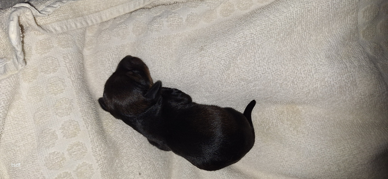 [Image: 20250420-092549.jpg]