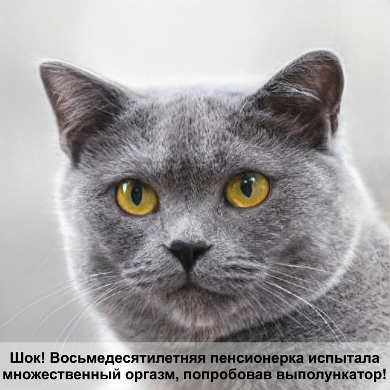 самая большая кошка