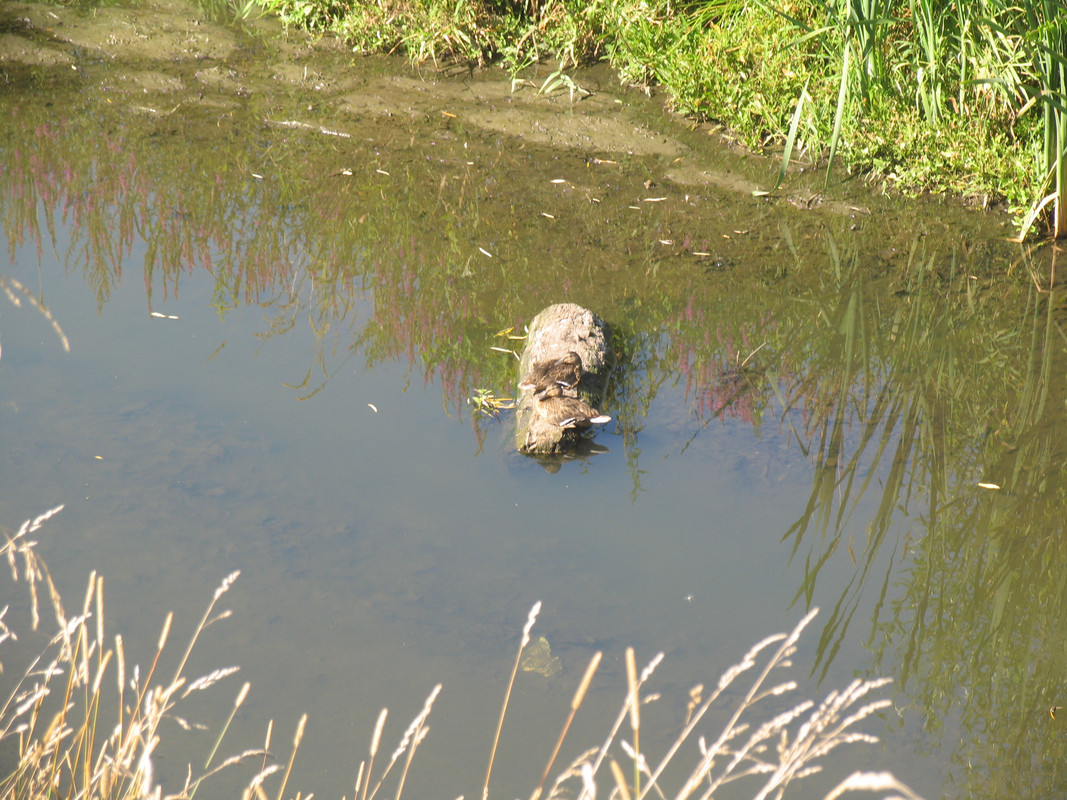 21 Июля 2024 048