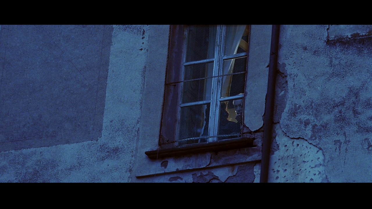 vlcsnap-2022-01-24-10h04m27s491