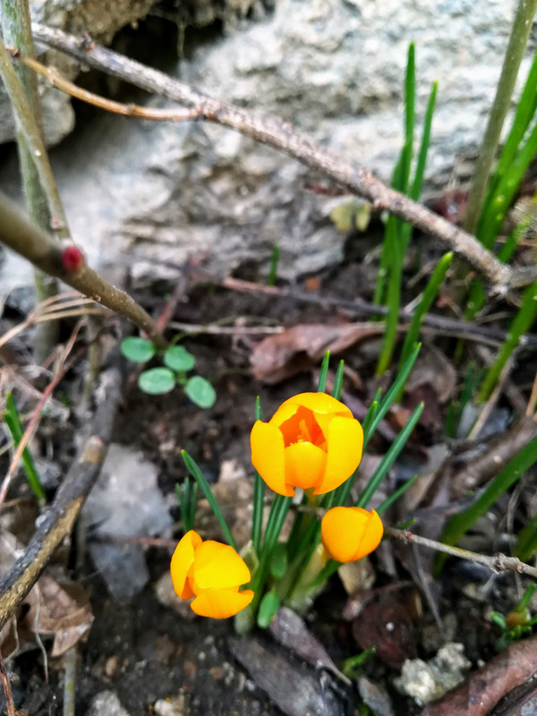 IMG_20190202_160548