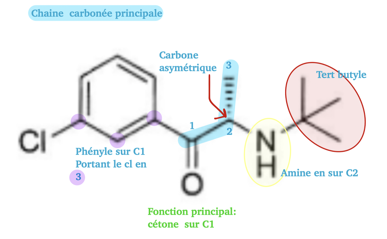 Capture d’écran 2023-12-05 à 15.18.08