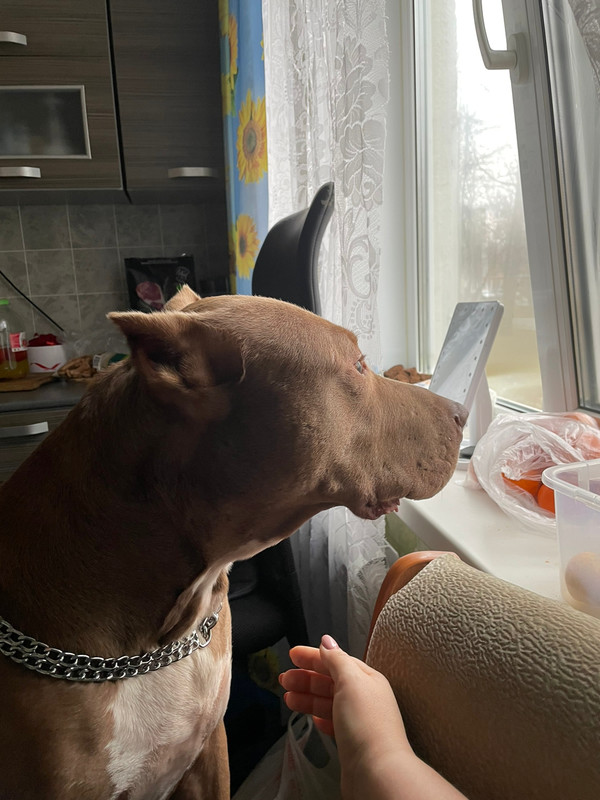 9D5F8C48-508C-4C88-BFA5-72CC341F90B0