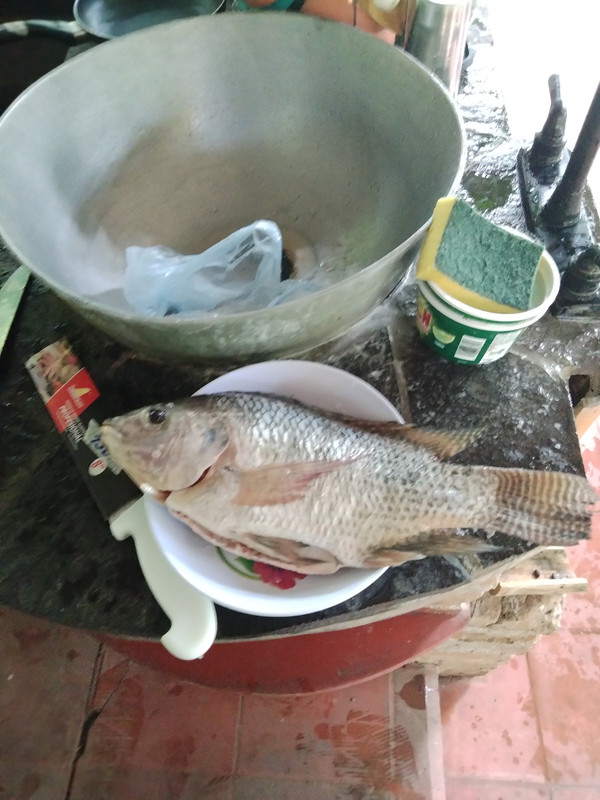 IMG20230823144946