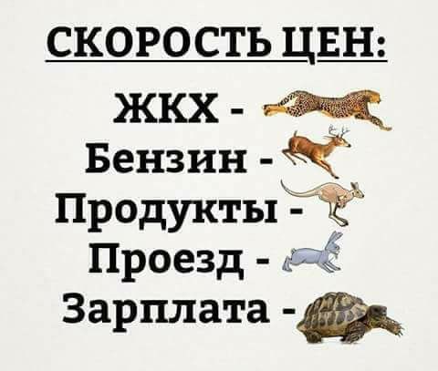 6980047aae7345f541d7365f64cd265f.jpg