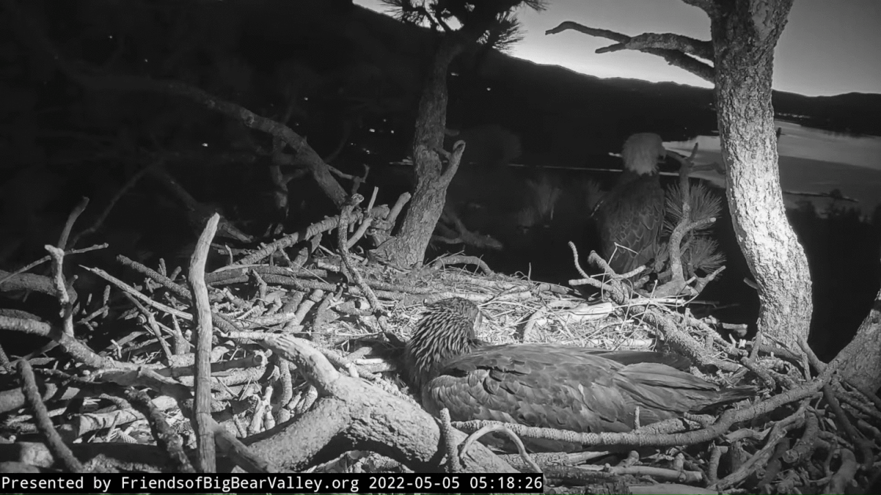 Webp.net-gifmaker (2)