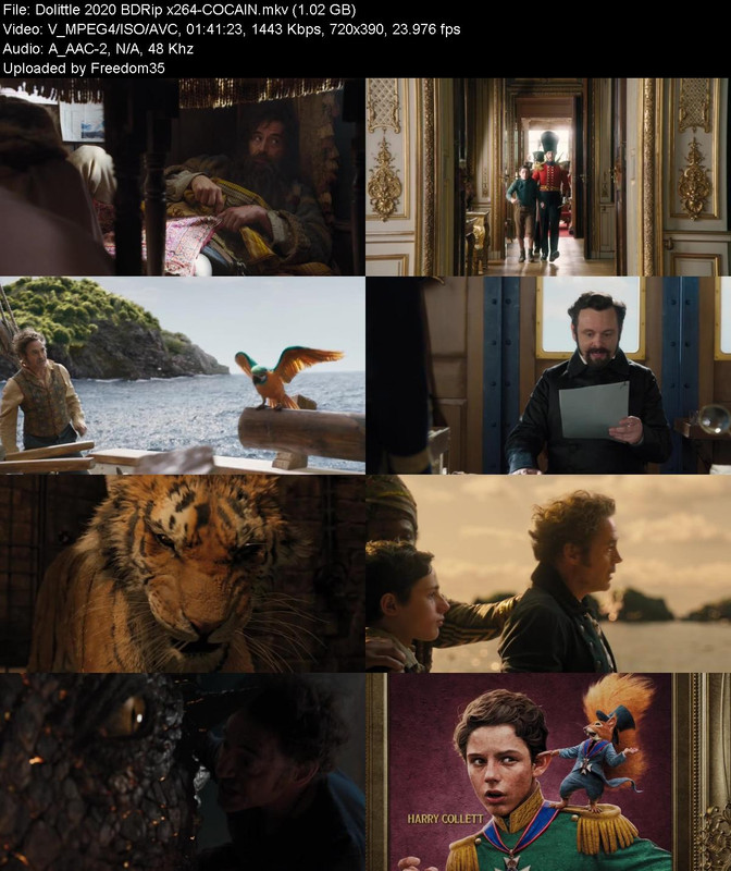 Dolittle-2020-BDRip-x264-COCAIN.jpg