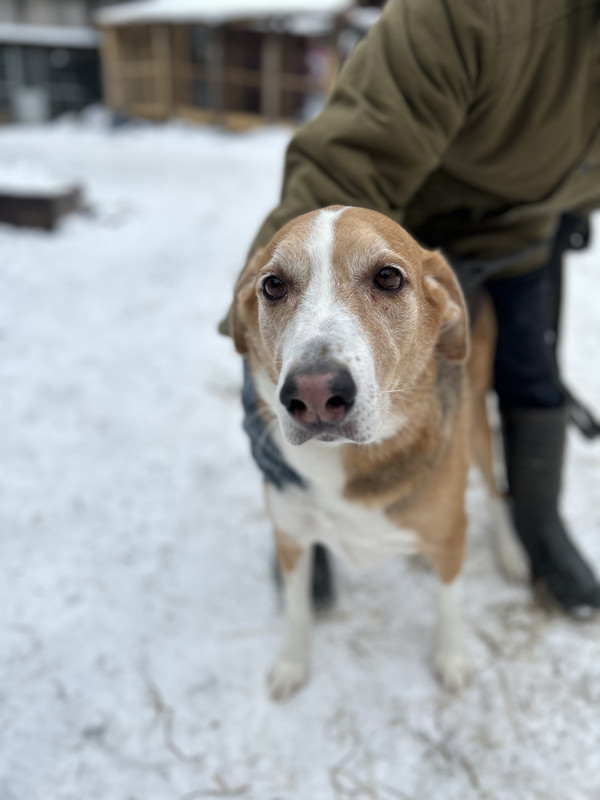 28D7DB7B-2BC7-4247-AE71-871CB883E1B5