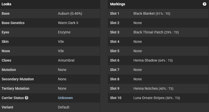Screenshot 2026 03 06 at 00 33 02 Sunrise Chaser Wolvden