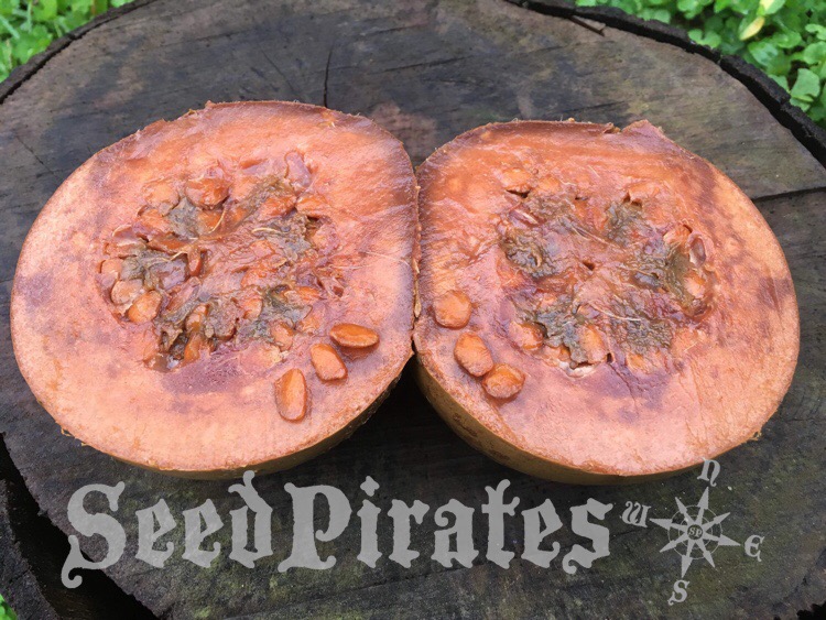 218737AB-DC3F-47A1-8FB7-57415CB0F57F