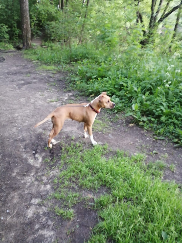 A6D23AD1-ABFE-463E-AD39-F03EDDBB954B