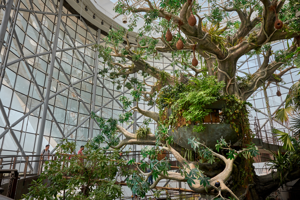 Green Dubai, Dubai How To Reach, Best Time & Tips