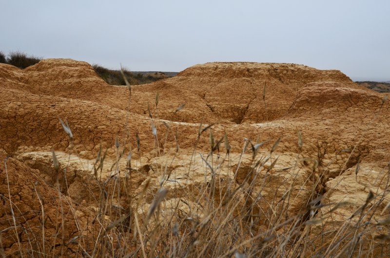 Navarra y sus pueblos-2015 - Blogs de España - Las Bárdenas Reales-15-11-2015 (22)