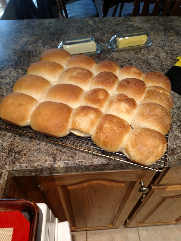 IMG_20230408_152857397