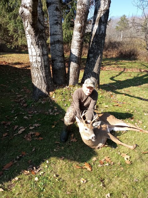 IMG_20221102_115253929