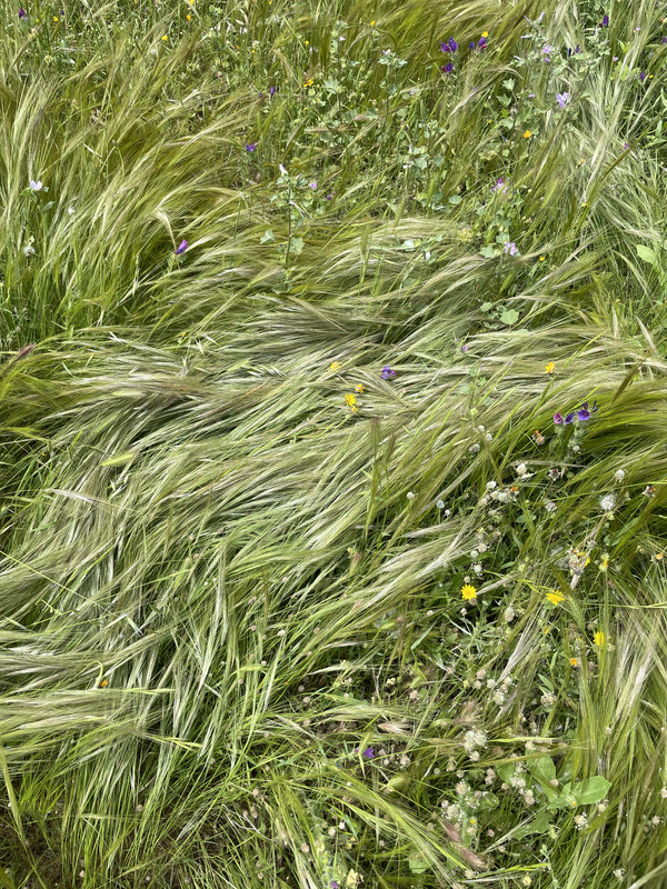 CCCD2A33-A96B-4D9C-9A58-D3B369D50B60