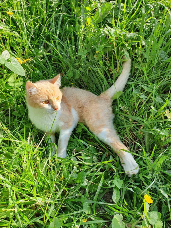 735DCA1A-B608-4D38-B17B-8E41907B02E1