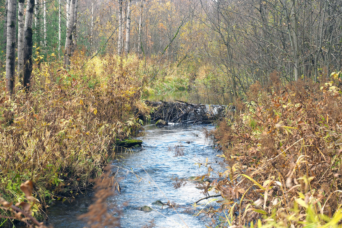 PA061936.jpg