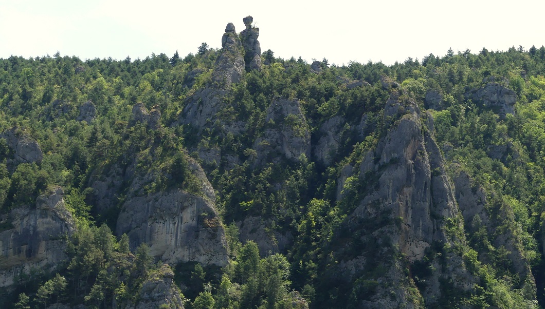P1090215.jpg