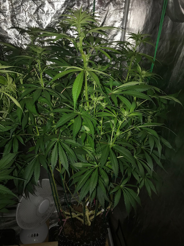 51900724-D6F2-41AF-9E40-5201D7B776ED