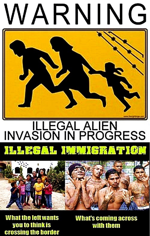illegal-alien-invasion-in-progress-left-sees-what-u-dont-know
