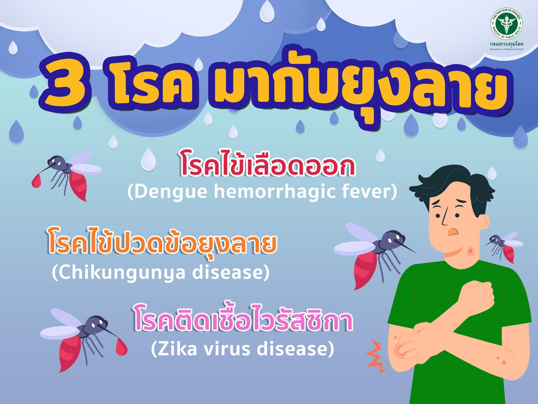 ระวัง!! 3 โรคที่มากับยุงลาย