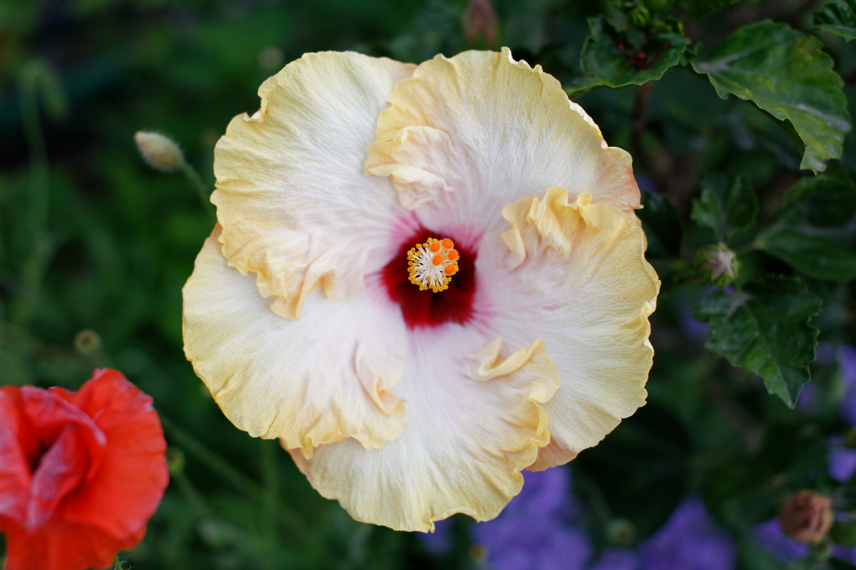 IMG 6941 — Postimages