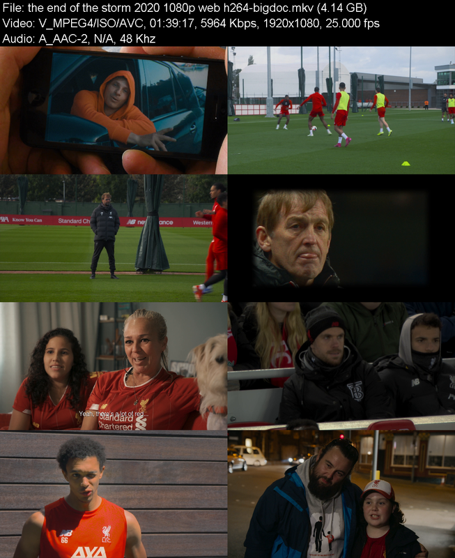 the-end-of-the-storm-2020-1080p-web-h264
