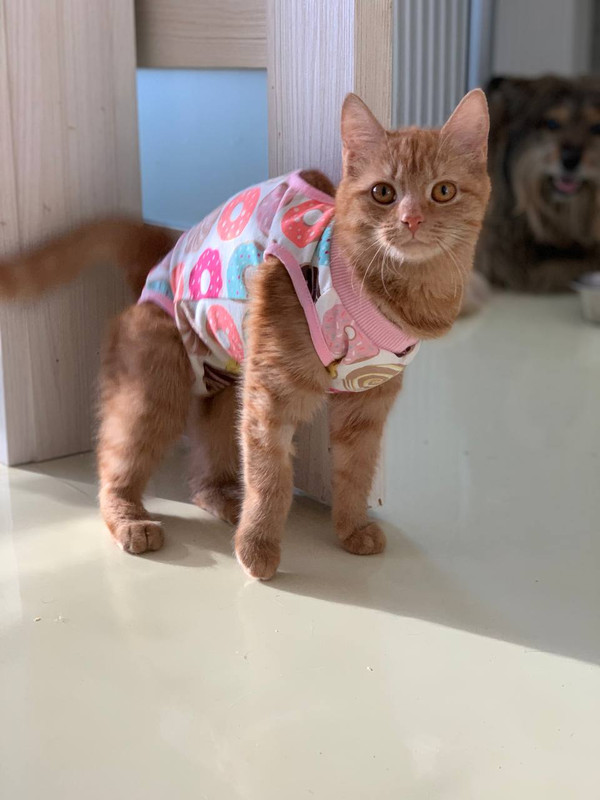 59177038-2FB4-4FE8-AF39-C56C6E6D2A0B