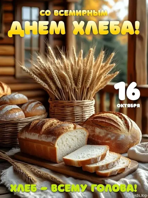 i - 2025-10-16T075342.414