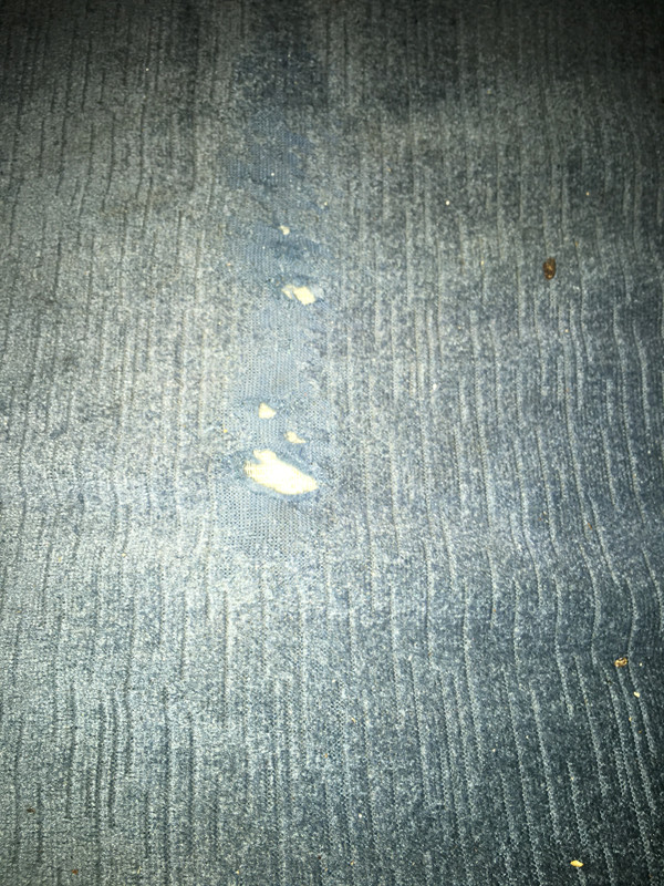 2F5699CD-EA89-42C7-B706-CABA8071A1E1