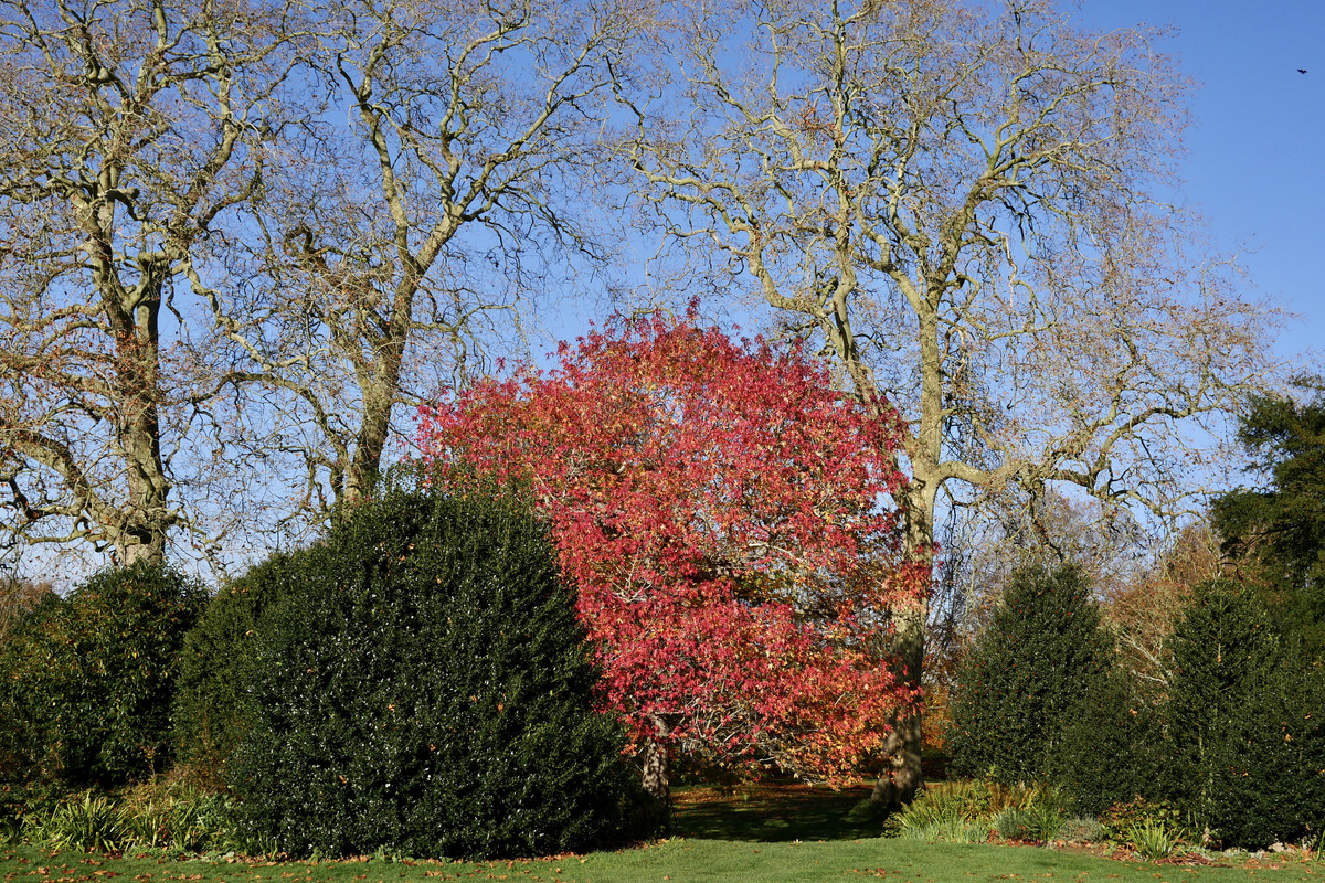 96BC63FA-C083-4D09-84A2-09FC3001DFB3