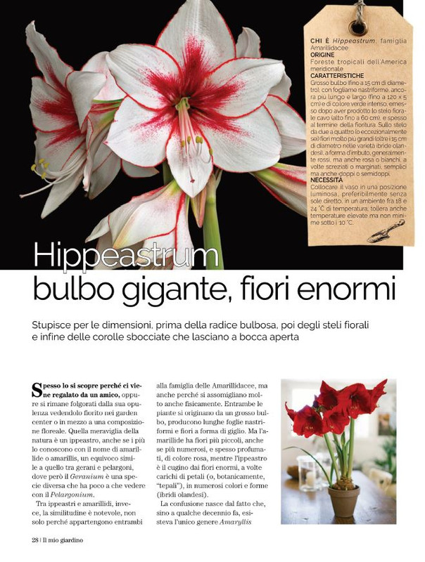 Il Mio Giar Nov-Dic 2021 (2)