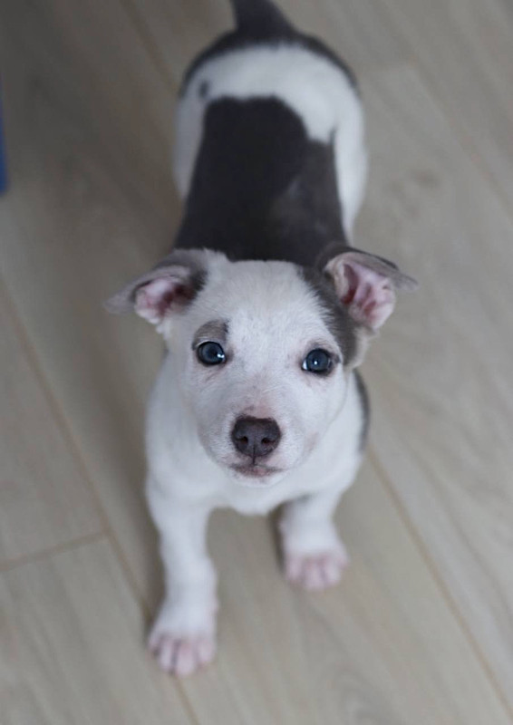 4B337C12-4537-4C18-A2AD-F2677AD34F32