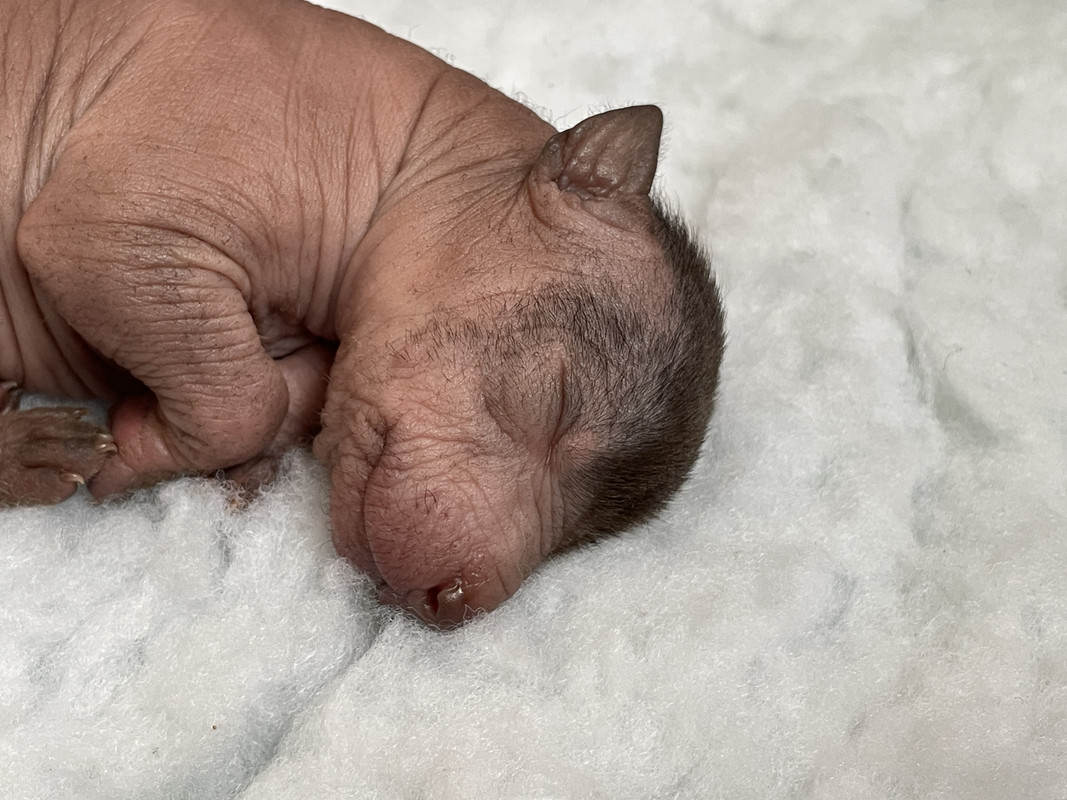 E921725E-D0C5-4B00-A9A6-60C21E25662D