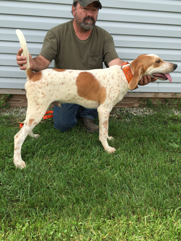 8372197E-BAA2-412E-8208-166FF14DC308