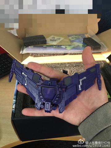 12670254_929113443841059_2919299786074780307_n