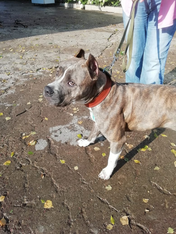 WhatsApp Image 2022-08-30 at 18.08.27 (1)