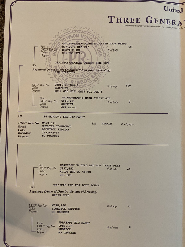 08D2DCA0-69F0-470C-84B7-78B67565C622