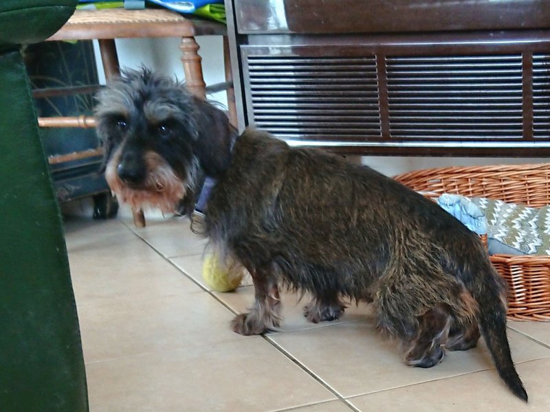 [Image: DSC-2507.jpg]