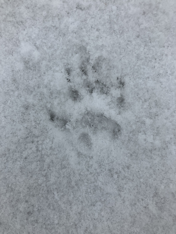 4C985162-4DC0-4AE6-A0B3-DFB61EA74D7E