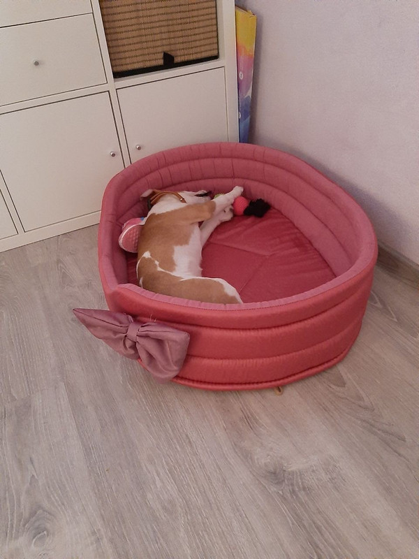 36534FFD-88D8-4A5E-A6C6-18CE10B2200A