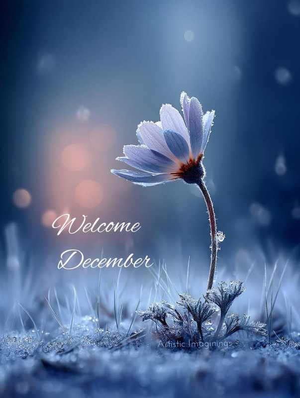 593105578-4415937695346009-6343966353760851415-n