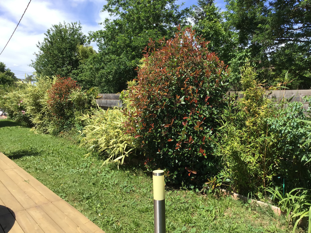 7C9C5733-4AC0-4355-A16B-206FD305DF22