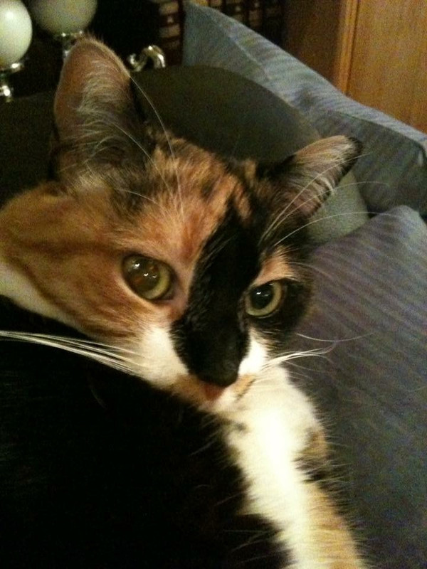 02C0C150-0F76-4F8D-A3DB-95365D86B469